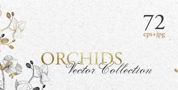 Иллюстрация на тему графика