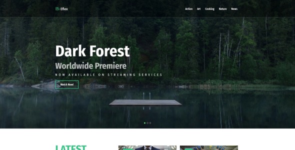 видео блог универсальная классическая тема wordpress elementor