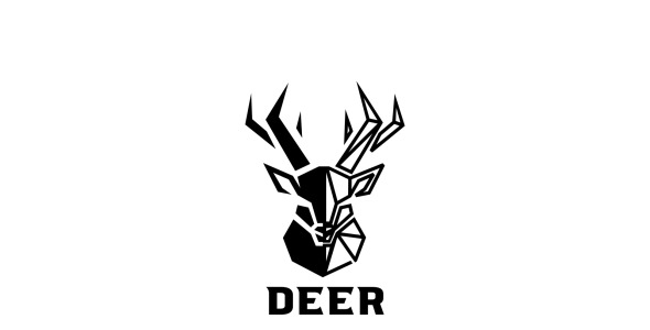 Шаблон логотипа на тему графика