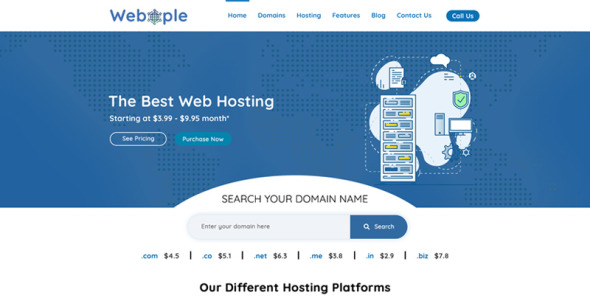 PSD шаблон на тему доменный регистратор