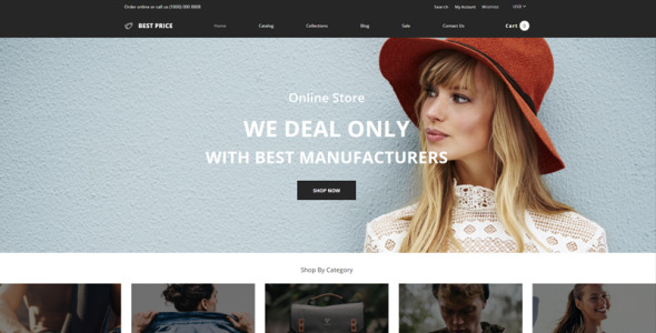 оптовый магазин многостраничная креативная тема shopify