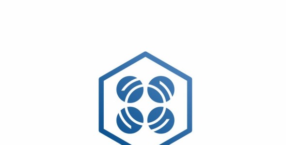 Шаблон логотипа на тему графика