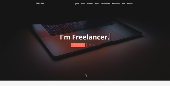 шаблон целевой страницы личного портфолио
