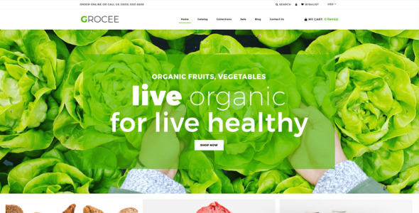 food store многостраничная чистая тема shopify