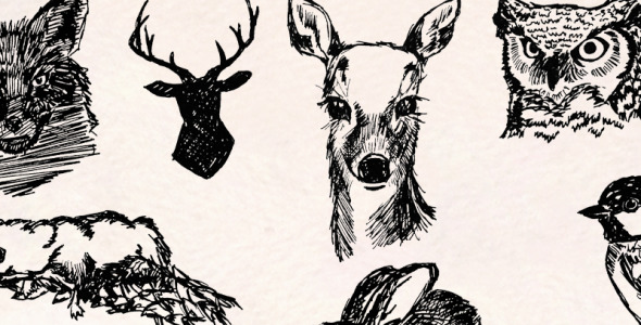 Иллюстрация на тему графика