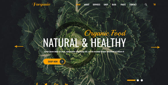 PSD шаблон на тему сельское хозяйство