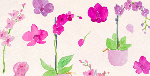 Иллюстрация на тему графика