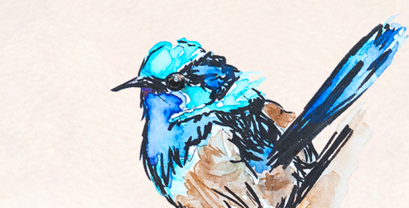 Иллюстрация на тему графика