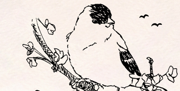 Иллюстрация на тему графика