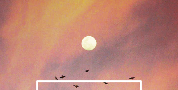 Шрифт на тему графика