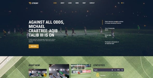 спортивная классическая тема wordpress elementor