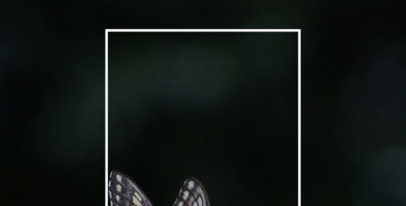 Шрифт на тему графика