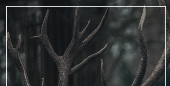 Шрифт на тему графика