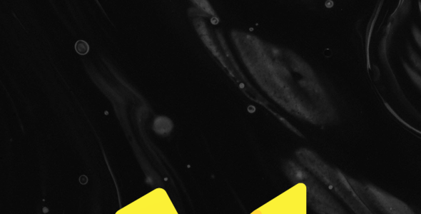 Шаблон логотипа на тему графика