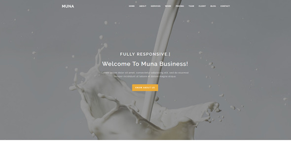 шаблон бизнес-целевой страницы