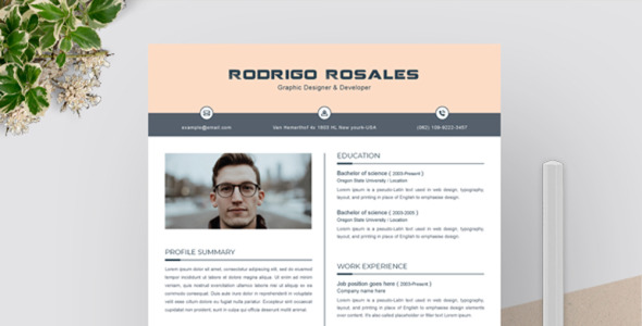 Адаптивный Резюме на тему графика