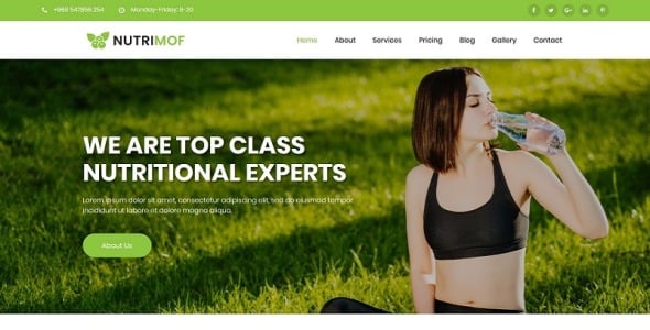 шаблон joomla для питания и здоровья