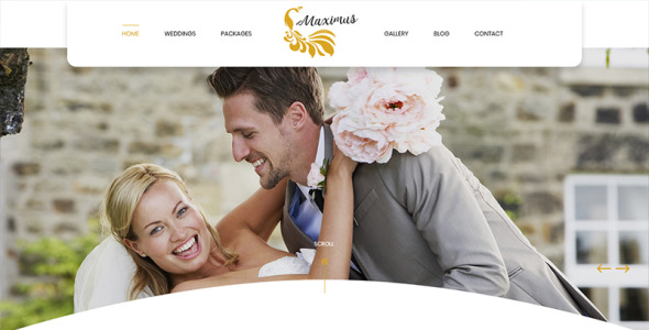 PSD шаблон на тему дизайн и фотография