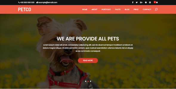 PSD шаблон на тему зоомагазин