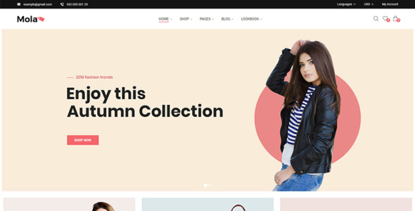 тема elementor woocommerce