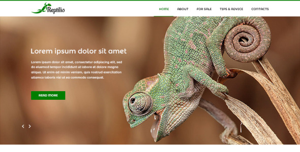 PSD шаблон на тему рептилии