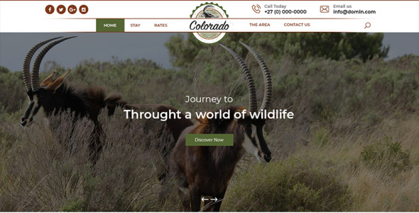 PSD шаблон на тему зоопарк