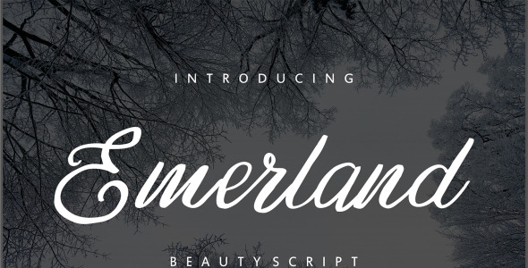 Шрифт на тему дизайн и фотография