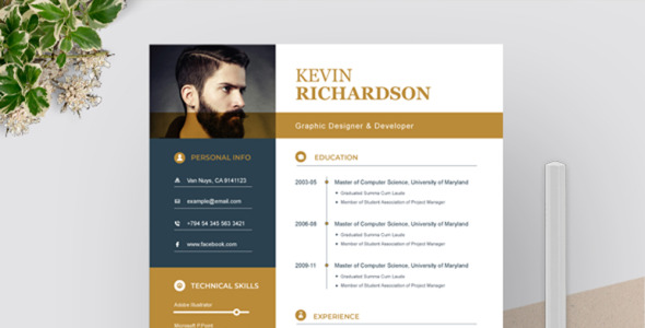 Адаптивный Резюме на тему графика