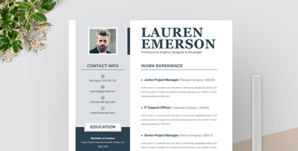 Адаптивный Резюме на тему графика