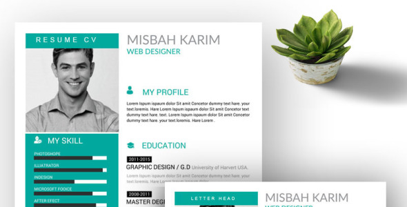 Резюме на тему графика