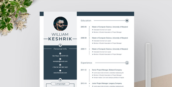 Адаптивный Резюме на тему графика