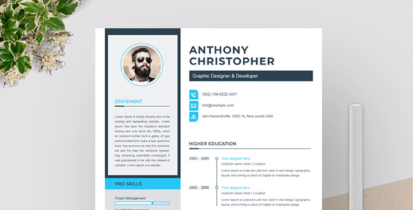 Адаптивный Резюме на тему графика