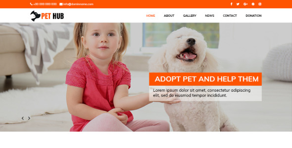 PSD шаблон на тему приют для животных