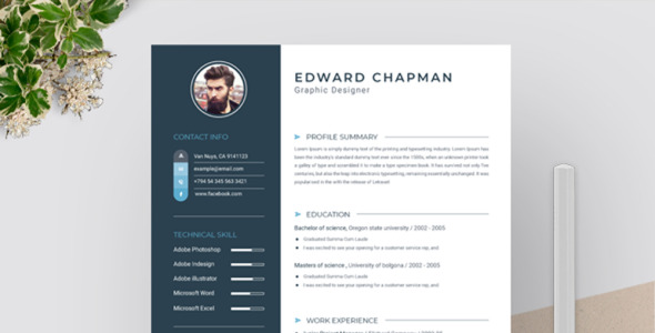 Адаптивный Резюме на тему графика