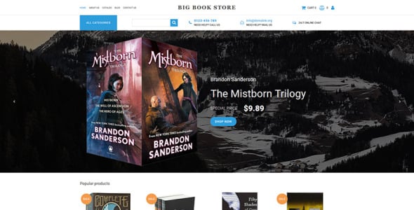 шаблон электронной коммерции big book store motocms