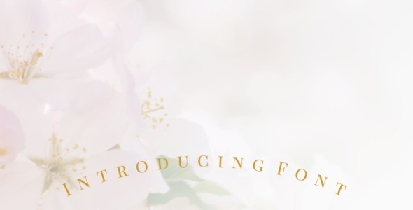 Шрифт на тему графика