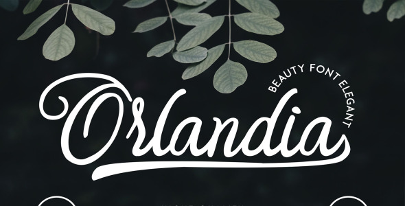 Шрифт на тему графика