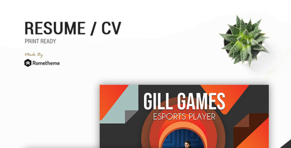 Резюме на тему графика