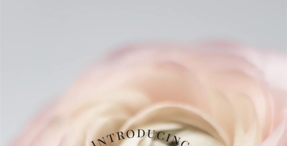 Шрифт на тему графика