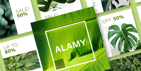 Шаблон для соцсетей на тему графика