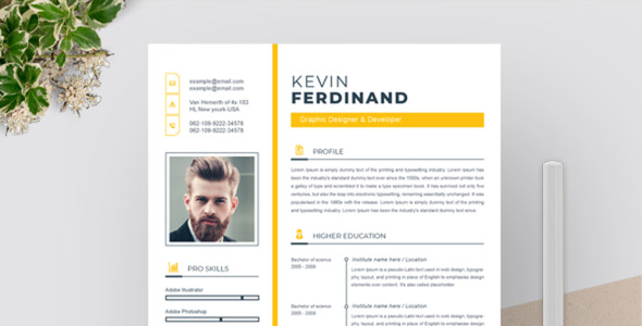 Адаптивный Резюме на тему графика