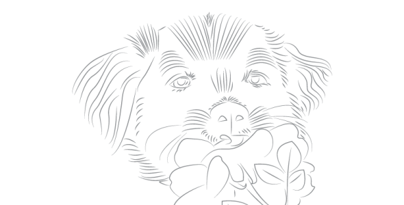 Шаблон логотипа на тему графика