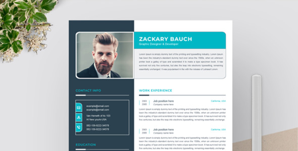 Адаптивный Резюме на тему графика