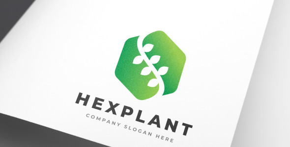 Шаблон логотипа на тему графика