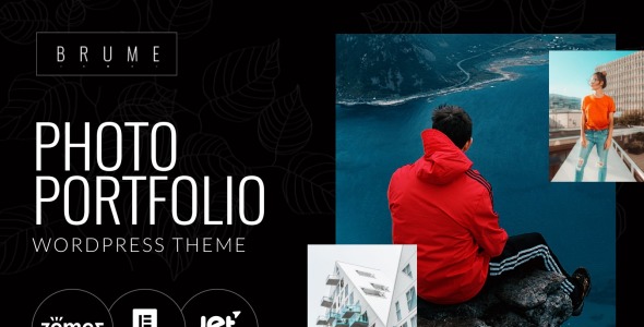 фото портфолио с темой elementor builder wordpress