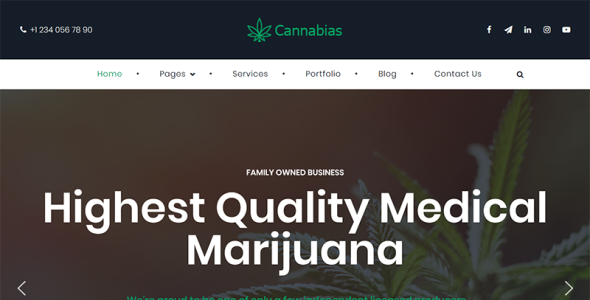 cannabias medical marijuana business wordpress theme