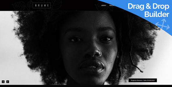 фотостудия moto cms 3 шаблон