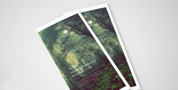 Фирменный стиль на тему графика