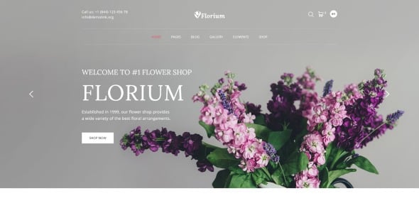 цветочный магазин современный многостраничный html шаблон сайта
