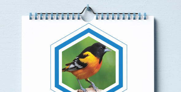 Planner на тему графика